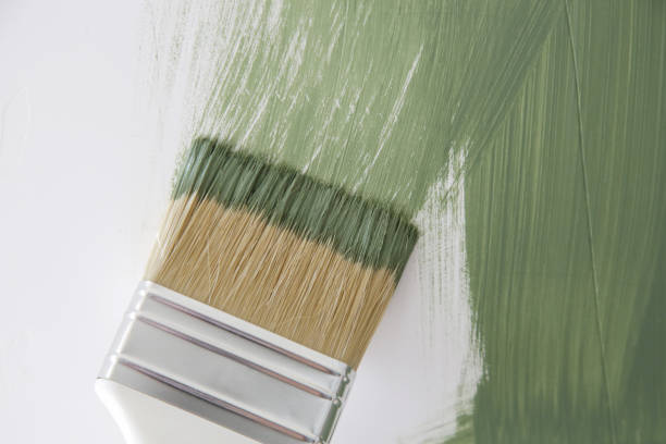 Best Mold Prevention Services  in Eatonville, FL