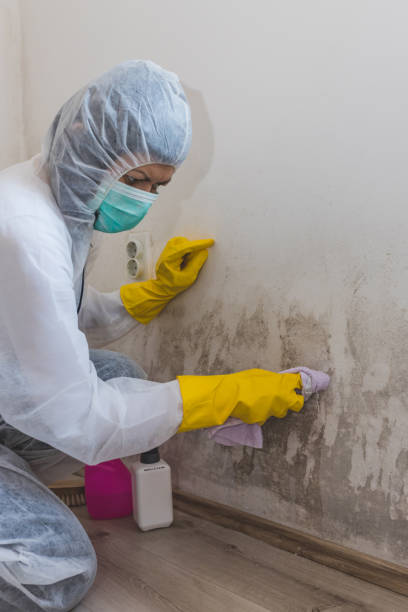 Best Crawl Space Mold Remediation  in Eatonville, FL