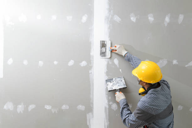 Best Mold-Related Health Consultation  in Eatonville, FL
