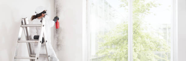 Best Mold Removal for HVAC Installations  in Eatonville, FL